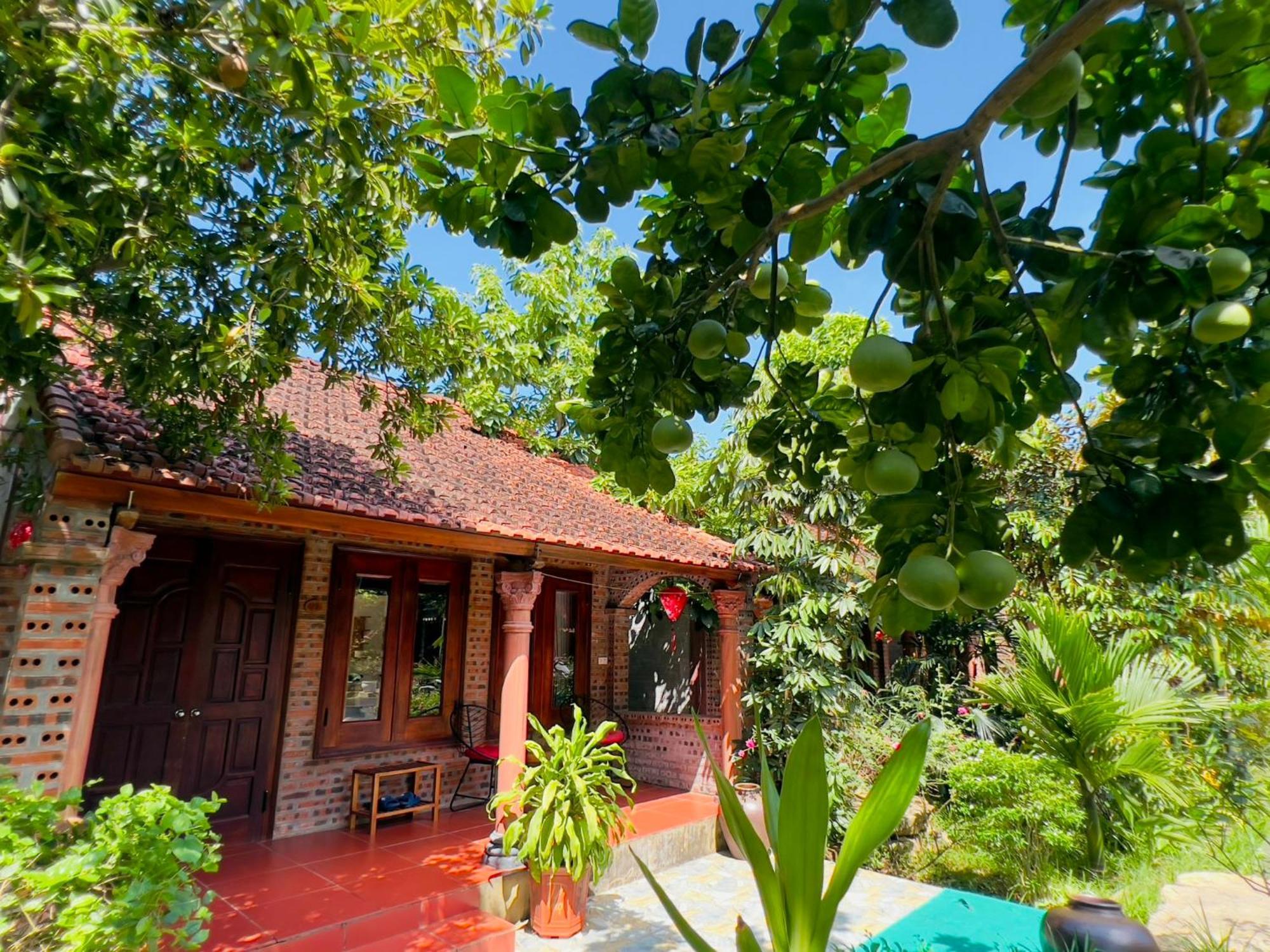 Ninh Binh Family Homestay エクステリア 写真